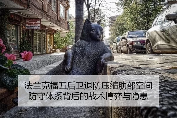 fa-lan-ke-fu-wu-hou-wei-tui-fang-ya-suo-le-bu-kong-jian-fang-shou-ti-xi-bei-hou-de-zhan-shu-bo-yi-yu-yin-huan-2-780.jpg